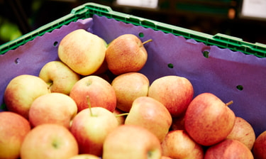Äpfel Mitarbeitervorteile Äpfel Mitarbeitervorteile